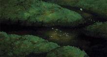 a painting of a stream with a butterfly on the side of it