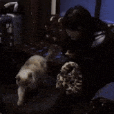 a person playing with a cat in a room with chinese writing on the floor