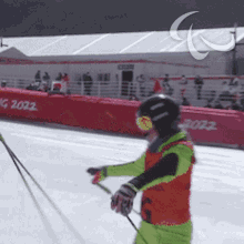 We Did It Para Alpine Skiing GIF - We Did It Para Alpine Skiing Alexandra Rexova GIFs