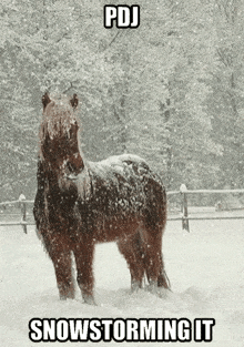 a horse covered in snow with the words pdj snowstorming it above it