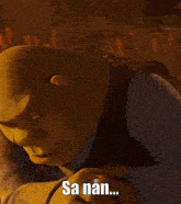 shrek from the movie shrek says " bank ? sa nan .. "