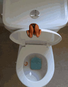 toilet dive