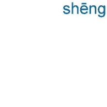 Sheng Writing GIF - Sheng Writing Write GIFs