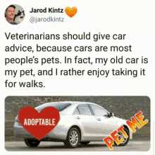 pets cars surreal humor absurd