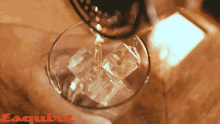 Cocktail Alcohol GIF