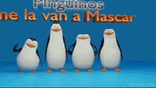 Los Penguinos GIF - Los Penguinos GIFs