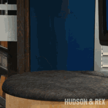 Take A Seat Rex GIF - Take A Seat Rex Diesel Vom Burgimwald GIFs