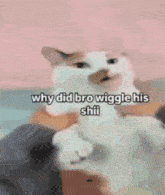 a blurry picture of a person holding a cat with the caption why did bro wiggle his shii