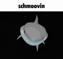 Schmoovin Shark Memoji GIF - Schmoovin Shark Memoji Cute Shark GIFs