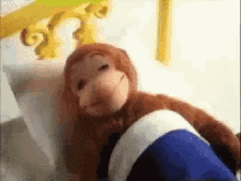 Monkey Sleeping GIF - Monkey Sleeping Goodnight GIFs