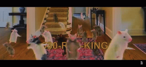 Rats Dance GIF - Rats Dance Dancing - Discover & Share GIFs