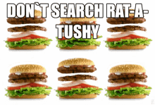 Dont Search Rat A Tushy GIF - Dont Search Rat A Tushy GIFs