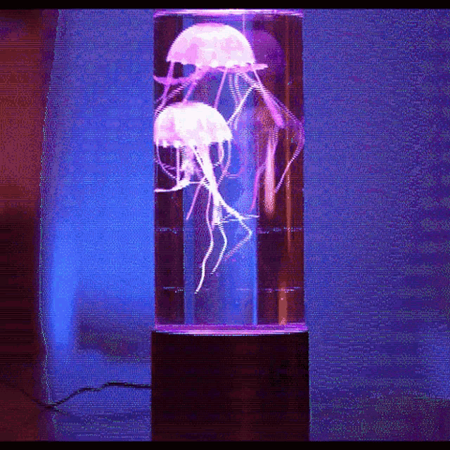 Jellyfish Lamp GIF - Jellyfish Lamp Light - Discover & Share ...