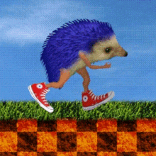 Sonic Hedgehog GIF - Sonic Hedgehog Real GIFs