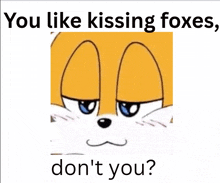 a picture of a fox with the words you like kissing foxes don 't you below it