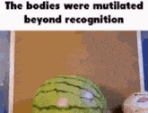 a watermelon is sitting in a box with the words the bodies were mutilated beyond recognition .