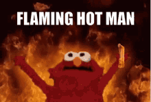 Rastapasta Elmo Fire GIF - Rastapasta Elmo Fire GIFs