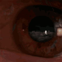 a close up of a woman 's brown eye with a black pupil