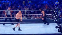 Roman Reigns Superman Punch GIF - Roman Reigns Superman Punch Brock Lesnar GIFs