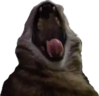 a close up of a dog yawning with its tongue out