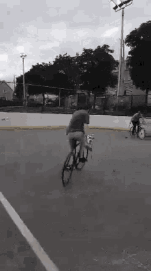 Bike Polo Crashed GIF