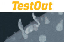 Test Out Testout GIF