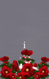 a bunch of red roses with the word you in the corner