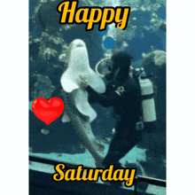 Happy Saturday Shark Happy Saturday Shark Heart GIF - Happy Saturday Shark Happy Saturday Shark Heart Heart GIFs