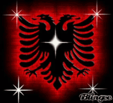 Shqipe GIF - Shqipe GIFs