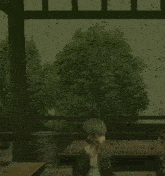 a person is sitting in a room with trees behind them