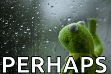kermit the frog is looking out a window with the words perhaps written below him