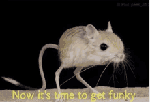 Now Its Time To Get Funky GIF - Now Its Time To Get Funky GIFs