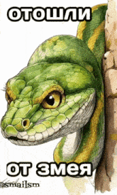 a drawing of a green and yellow snake with the words " от змея " on the bottom