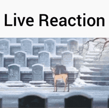 a deer standing in front of a cemetery with the words live reaction written above it