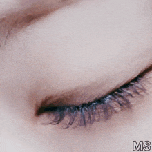 a close up of a woman 's eye with the letters ms visible