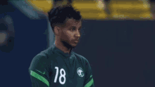 a soccer player wearing a green jersey with the number 18 on it