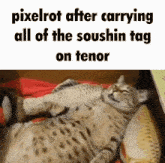 Soushin Pixelrot GIF - Soushin Pixelrot Sourshin GIFs