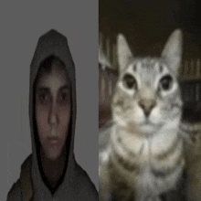 Simon Cat GIF - Simon Cat GIFs
