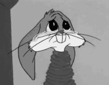 crying sad bunny tied up