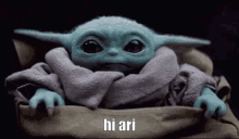 Hi Ari Ari GIF - Hi Ari Ari Hi GIFs