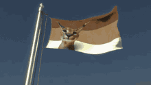 Floppa Flag GIF - Floppa Flag GIFs