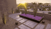 a garden with purple flowers and cactus and a sunset in the background