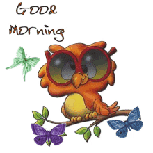 good morning owl butterflies buenos dias tree