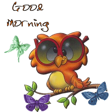 Good Morning Owl Sticker - Good Morning Owl Butterflies Stickers