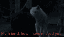 Game Of Thrones My Friend GIF - Game Of Thrones My Friend Miss You GIFs