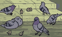 Bird Birdcheese GIF