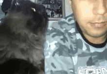 It Ok GIF - Cat Pet Touch GIFs