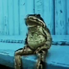 Piss Chilling GIF - Piss Chilling GIFs