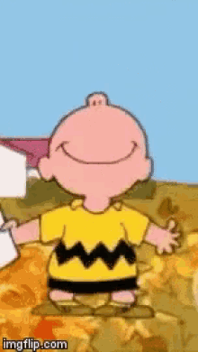 Charlie Brown Happy GIF
