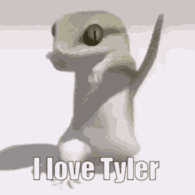 Tyler Lizard Dance I Love Tyler GIF - Tyler Lizard Dance I Love Tyler Tyler Fanclub GIFs